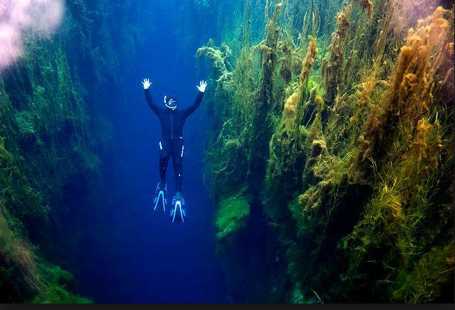 Piccaninnie Ponds Conservation Park